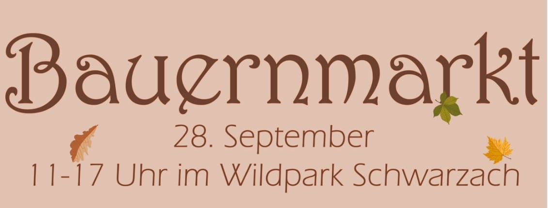 Das haben Sie vielleicht verpasst ►